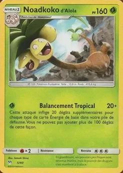 Noadkoko d'Alola, Collection McDonald's 2019, n° 5