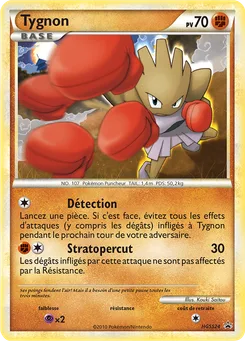 Tygnon, Promo HGSS, n° HGSS24
