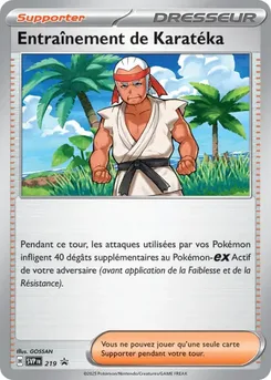 Entraînement de Karatéka, SVP Black Star Promos, n° 219