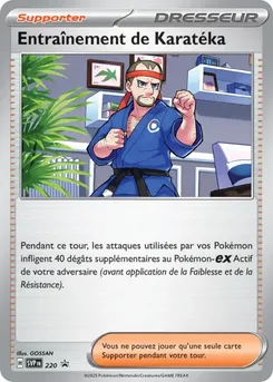 Entraînement de Karatéka, SVP Black Star Promos, n° 220