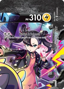 Morpeko V-UNION, Promo SWSH, n° SWSH288