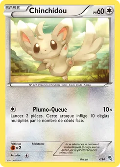 Chinchidou, BW Kit du dresseur (Zoroark), n° 4