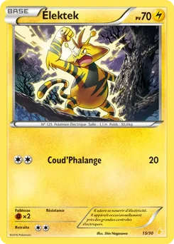 Élektek, XY Kit du dresseur (Pikachu Libre), n° 15