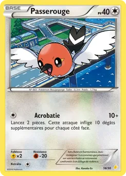 Passerouge, XY Kit du dresseur (Pikachu Libre), n° 16