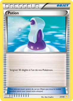 Potion, XY Kit du dresseur (Pikachu Libre), n° 21