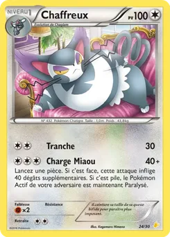 Chaffreux, XY Kit du dresseur (Pikachu Libre), n° 24