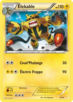 Élekable, XY Kit du dresseur (Pikachu Libre), n° 25